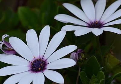 描写神态动作的句子(推荐50句)