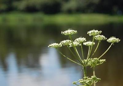 描写讲台的句子(汇总13句)