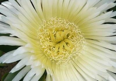 描写秋风的优美句子(实用54句)