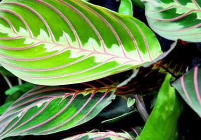 描写考试后心情的句子(50句)