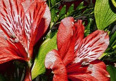 描写白云的句子 短句(实用41句)