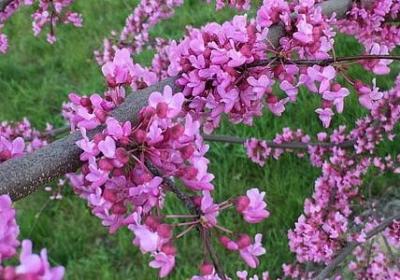 描写秋雨伤感的句子(50句)