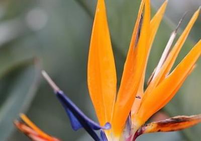 描写诚实守信的句子(50句)