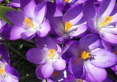 描写胃疼的句子(热门50句)