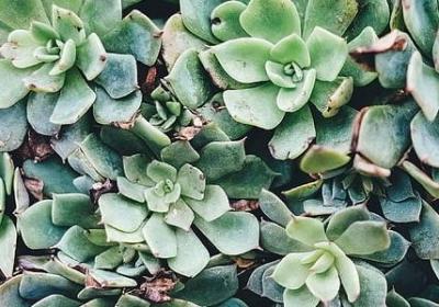 描写舞台表演的句子(共36句)