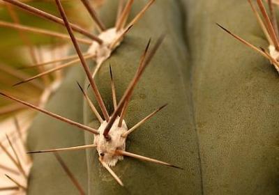 描写红军战士的句子(必备20句)