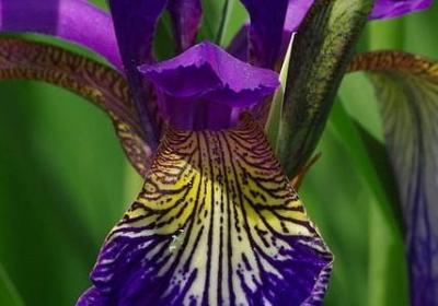 描写牧场美的句子(共20句)