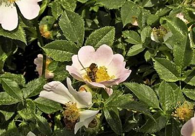 描写细心的句子(汇总50句)