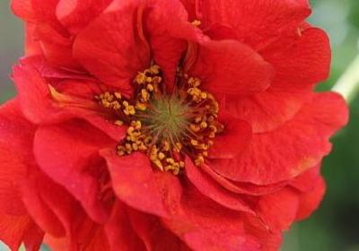 描写秋天优美的句子(优选11句)