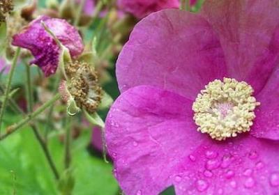 描写负心汉的句子(优选30句)