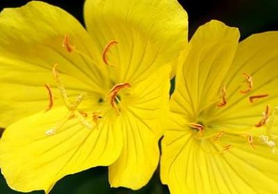 描写短发女生的句子(实用50句)