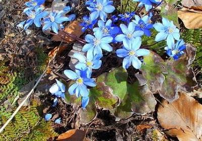 描写校园时光的句子(汇总56句)