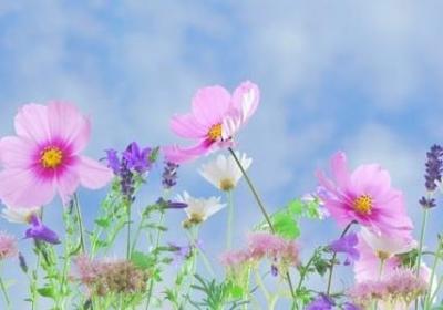 描写校门的句子(通用50句)