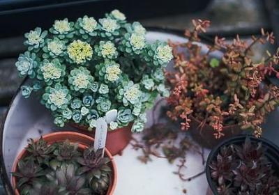 描写秋天美景的句子(精选51句)