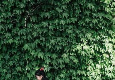 描写犀牛的句子(共6句)