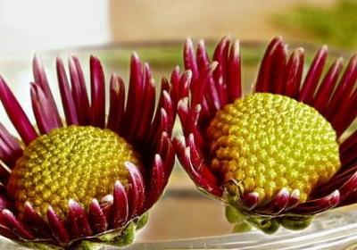 描写秋天来了的句子(汇总50句)