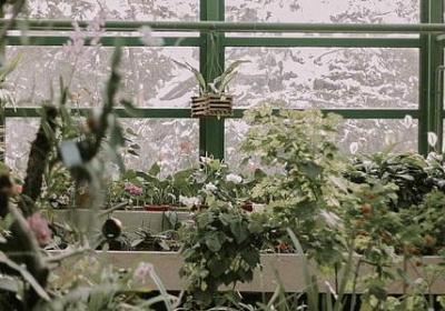 描写珍惜亲情的句子(精选50句)