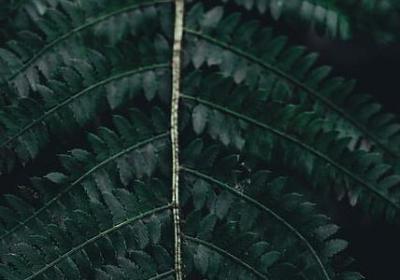 描写礼物的优美句子(优选50句)