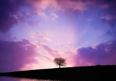 描写瓢虫的句子(优选40句)