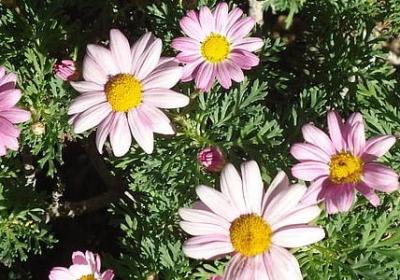 描写杨志的句子(推荐9句)