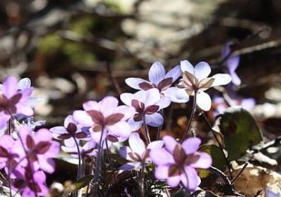 描写老师奉献的句子(热门41句)