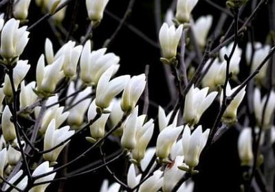 描写秋天的优美句子短句(精选63句)