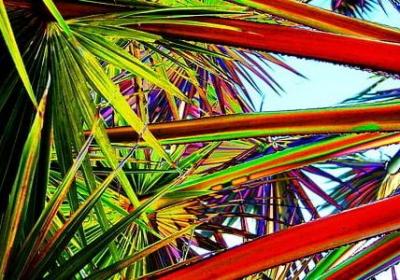 描写父母的句子(推荐50句)