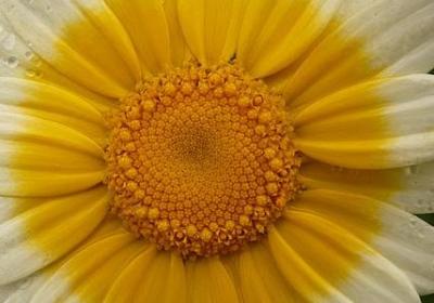 描写蛇唯美的句子(合集50句)