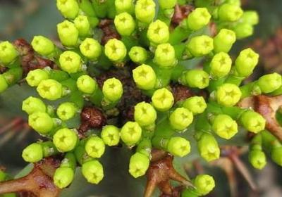 描写温泉的句子(优选50句)