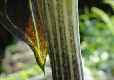 描写海岸线的句子(实用50句)