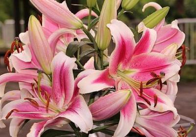 描写老头的句子(合集50句)