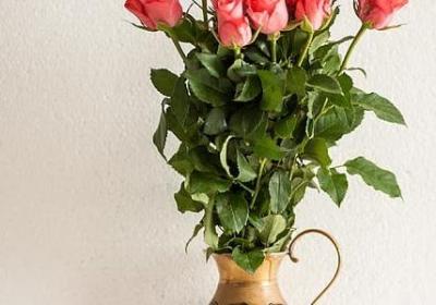 描写自卑的句子(必备50句)