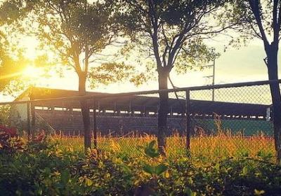 描写湖边美景的句子(10句)