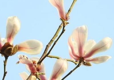 描写老师微笑的句子(优选50句)