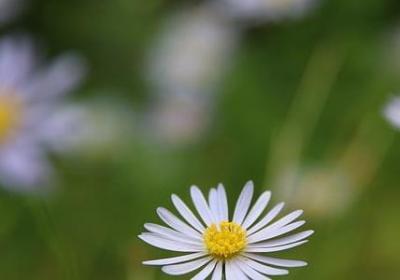 描写碧玉的优美句子(共50句)