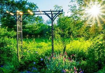 描写童心的优美句子(共40句)