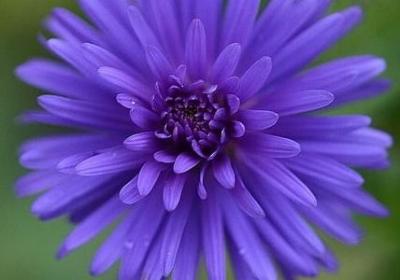 描写自己的唯美句子(热门12句)