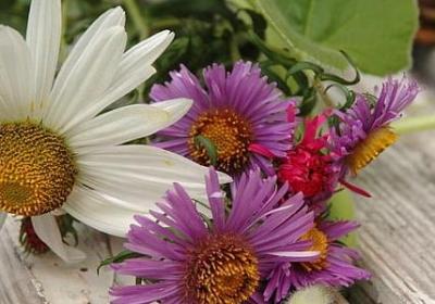 描写秋天山林的句子(推荐10句)