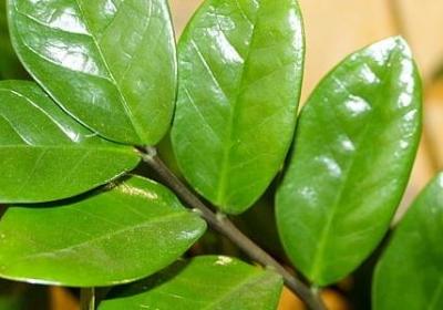 描写母爱的短句(热门15句)