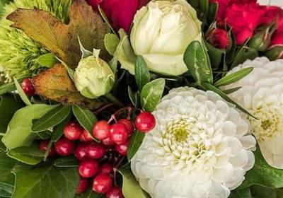 描写赛车比赛的句子(热门5句)