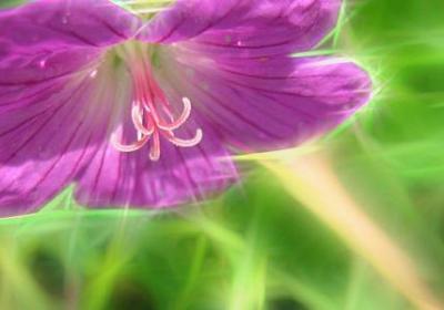 描写男生身材的句子(必备51句)