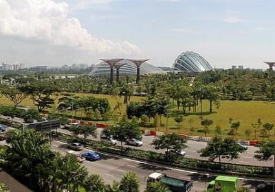 描写街道的优美句子(汇总50句)