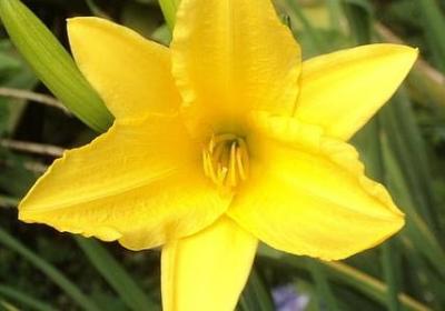 描写纽约繁华的句子(9句)