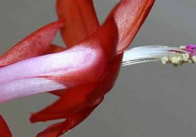 描写校园的短句(汇总64句) 描写校园的短句(汇总64句)