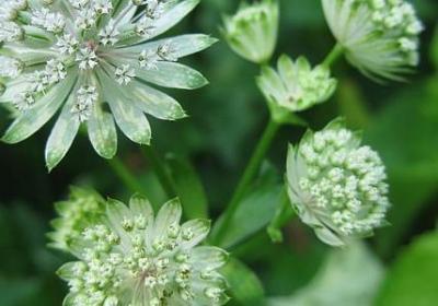 描写笑容的优美句子(50句) 描写笑容的优美句子(50句)