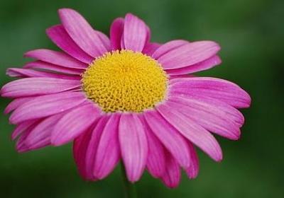 描写观众神态的句子(优选50句) 描写观众神态的句子(优选50句)