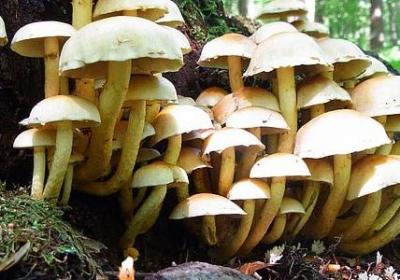 描写荒岛的句子(合集58句) 描写荒岛的句子(合集58句)