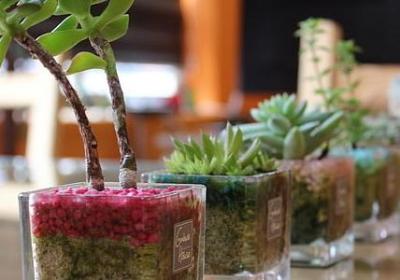 描写爱看书的句子(合集50句) 描写爱看书的句子(合集50句)