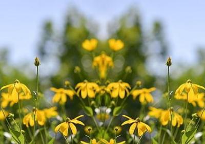 描写红海滩的句子(推荐50句) 描写红海滩的句子(推荐50句)