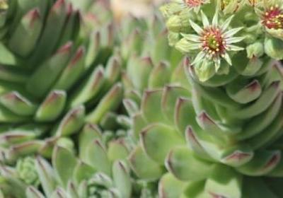 描写生孩子的句子(通用10句) 描写生孩子的句子(通用10句)